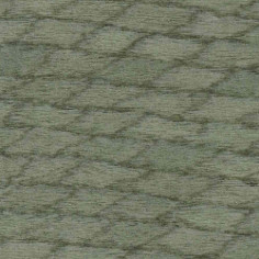 2A – GREEN LICHEN